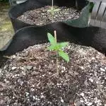 AK-47 Outdoor 21