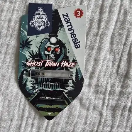 Ghost Train Haze Zamnesia