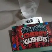 H A A R L E M M E R S T R A A T  102