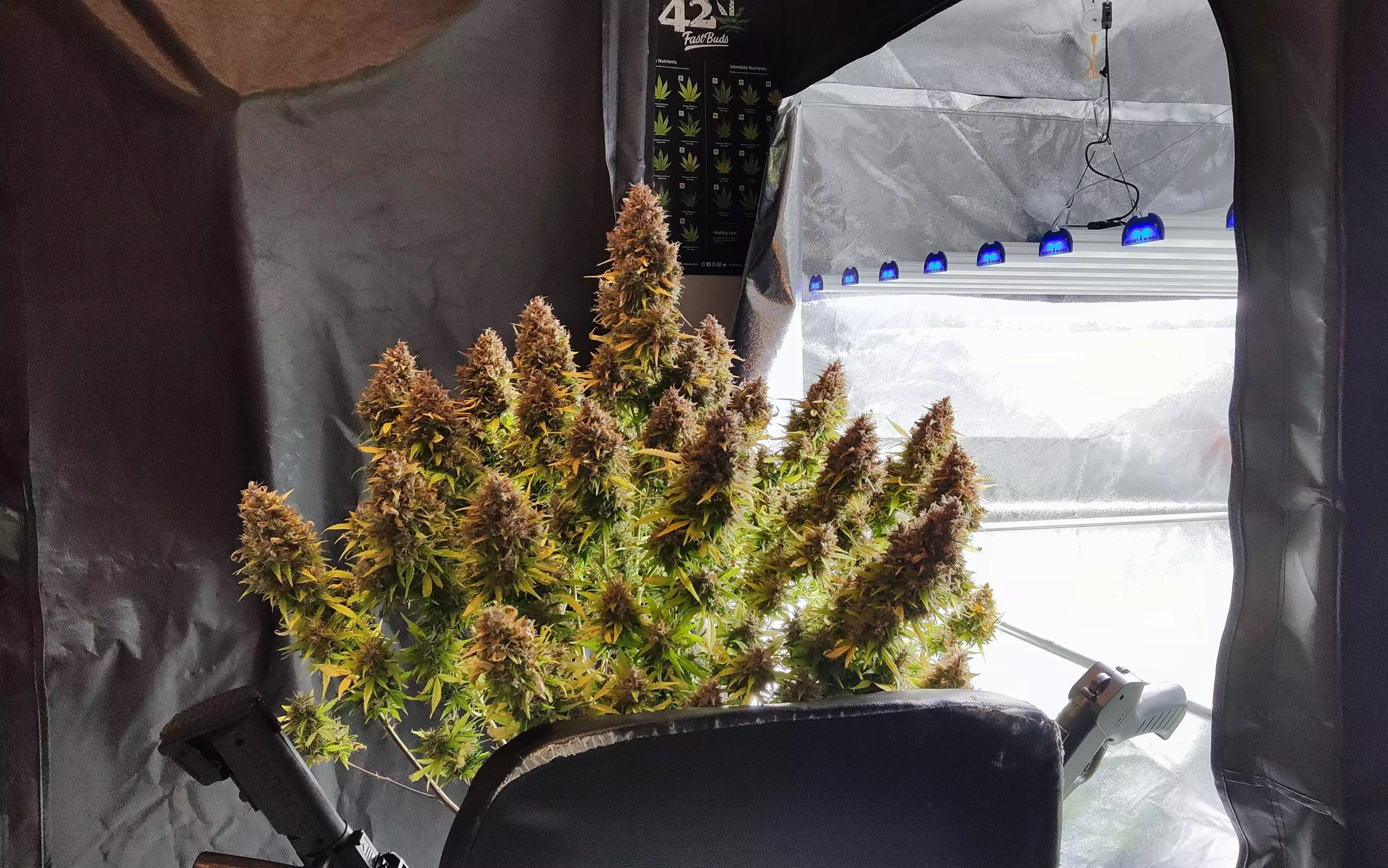 Adjust-A-Wings lamps manufacturer. Cannabis lighting bran