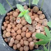 H A A R L E M M E R S T R A A T  102