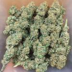 Durban Poison