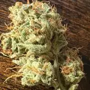 Alaskan Ice