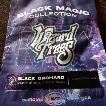Black Orchard