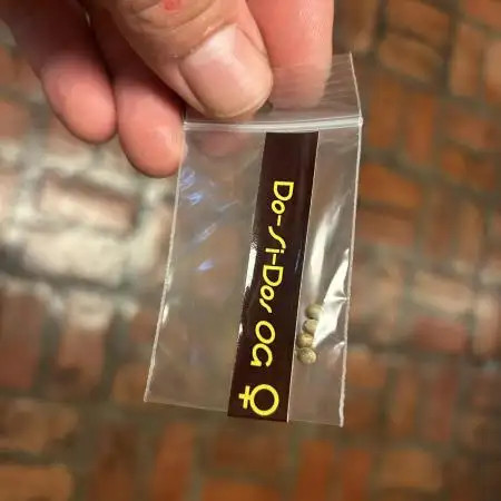 OSS - Do-Si-Dos OG