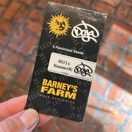 BF - RS11 x Banana OG