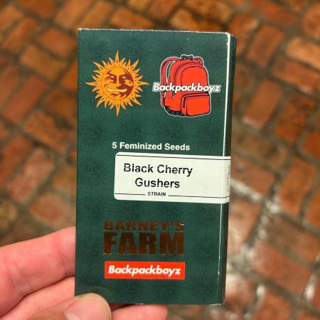 BF - Black Cherry Gushers