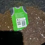 Gorilla Z Auto's Fast Budz