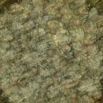 Barney's Farm Edition Purple Punch