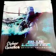 Project Bluebird Declassification.