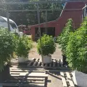 Maine Outdoor 2026 LATE START