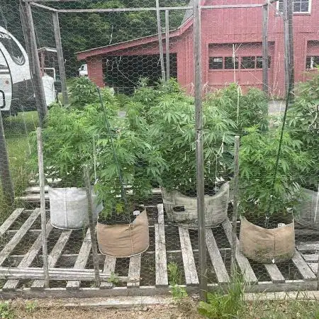 Maine Outdoor 2025