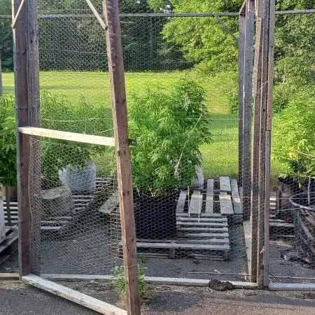 Maine Outdoor 2025