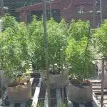 Maine Outdoor 2025