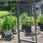 Maine Outdoor 2025