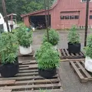 Maine Outdoor 2026 LATE START