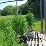 Maine Outdoor 2025