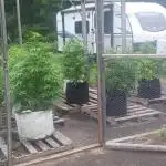 Maine Outdoor 2025