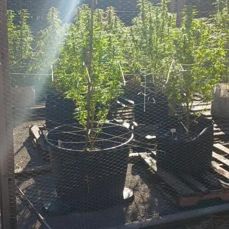 Maine Outdoor 2025