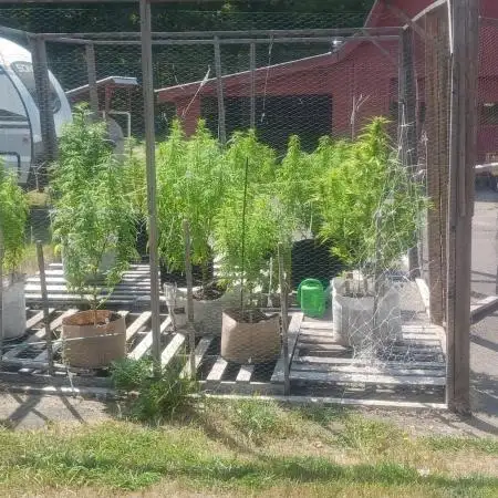 Maine Outdoor 2025