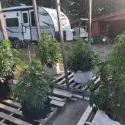 Maine Outdoor 2026 LATE START