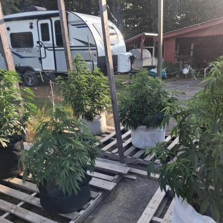 Maine Outdoor 2026 LATE START