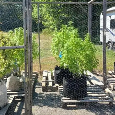 Maine Outdoor 2025