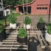 Maine Outdoor 2026 LATE START