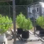 Maine Outdoor 2025