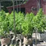 Maine Outdoor 2025