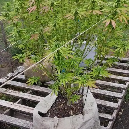 Maine Outdoor 2025
