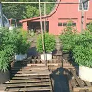 Maine Outdoor 2026 LATE START
