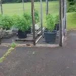 Maine Outdoor 2025