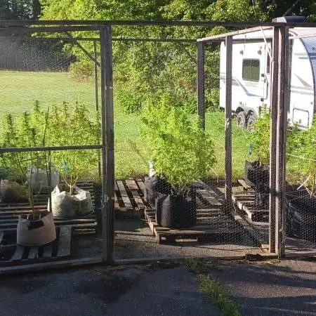 Maine Outdoor 2025