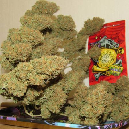 Old School Ripper Seeds