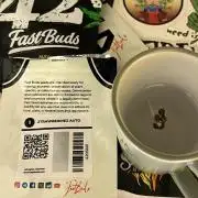 Comeback diary - Sponsored by FastBuds!