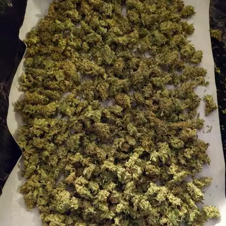Rosin Press, Bubble Hash, et al.