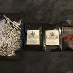 Katsu/Elev8 Genetics - 1st Grow Journey 