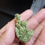 Northern light outdoor baclony grow