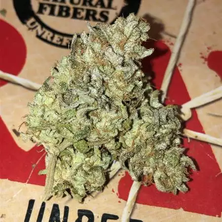 Custom strain Sherbet ZkittleZ X Sorbet 