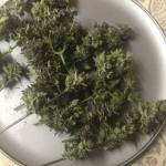 Real Growers Only