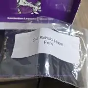 Old School Haze - Super Sativa Seed Club