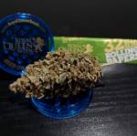 Fat Banana Auto RQS