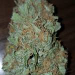 Gorilla glue 2x, C4 1x,GSC 1x
