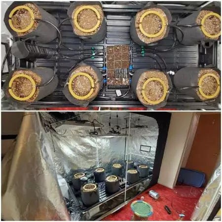 9'x4' Tent Run #1 July 2020