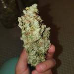 Lemon Kix 