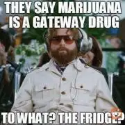 FB420 Summer Outdoor Grow
