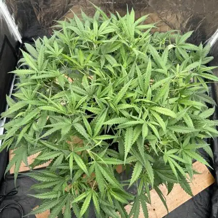 My first report 😊