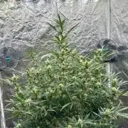 My first report 😊