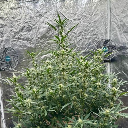 My first report 😊